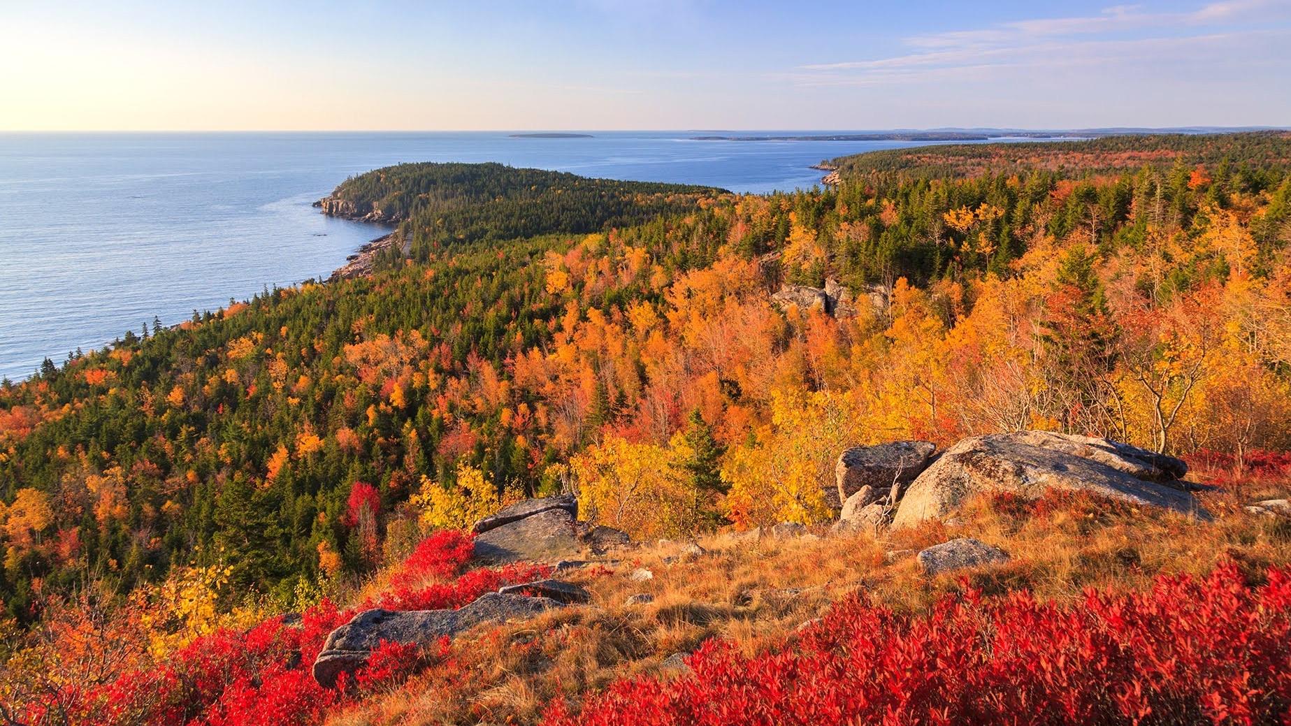 Peak Fall Foliage 2024 Acadia National Park Audie Romona